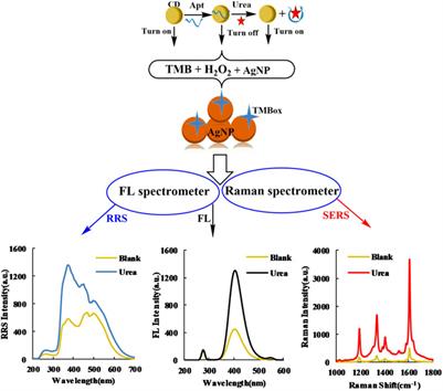 Aptamer Turn-On SERS/RRS/Fluorescence Tri-mode Platform for Ultra-trace Urea Determination Using Fe/N-Doped Carbon Dots